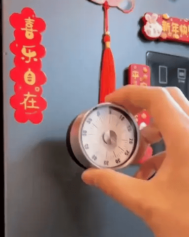 Kitchen Timer Mechanical Magnetic Back Stainless Steel