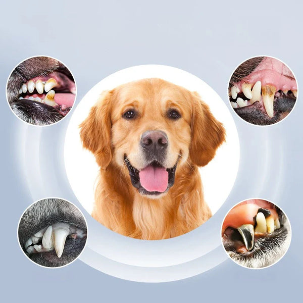 Ortekor PetCare | Dispositivo de limpieza dental para perros con 5 niveles ajustables | Cuidado dental eficaz para mascotas para sonrisas más saludables
