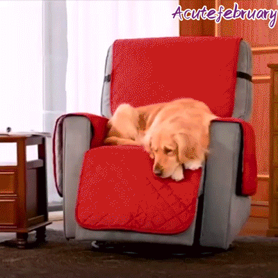 Funda para sillón reclinable Ortekor Comfort Cover | Funda universal para sillón reclinable con diseño suave de una sola pieza | Protege contra manchas y pelos de mascotas
