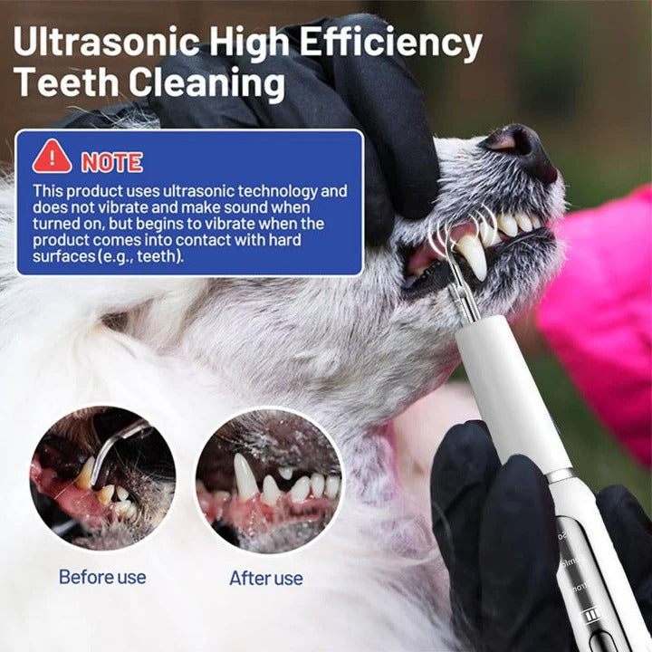 Limpiador dental fácil para perros