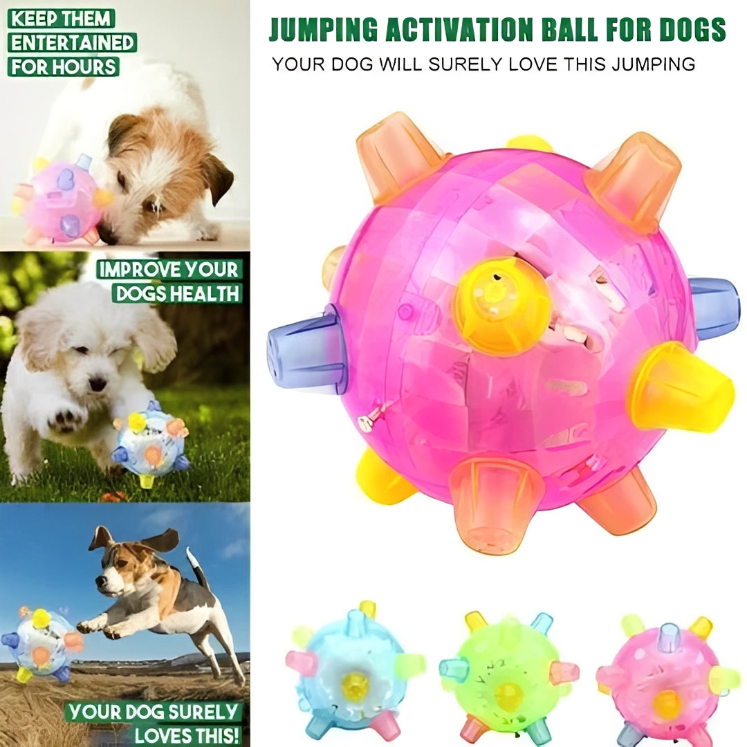 Divertido juguete interactivo de pelota rebotadora para perros