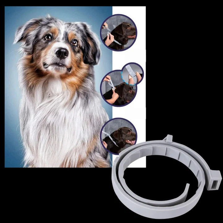Collar eficaz para el control de garrapatas y pulgas en mascotas