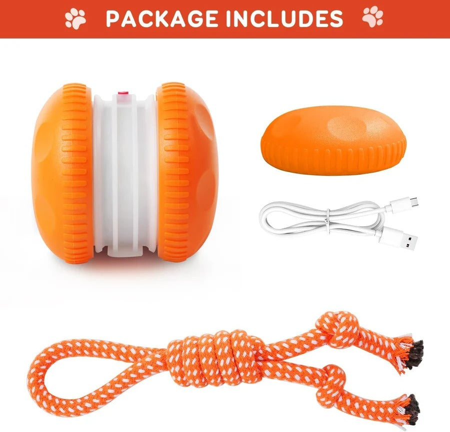 Pelota de Juguete Interactiva para Perros con Cuerda, Set de 2 Unidades
