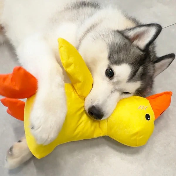 Adorable patito de peluche que grazna