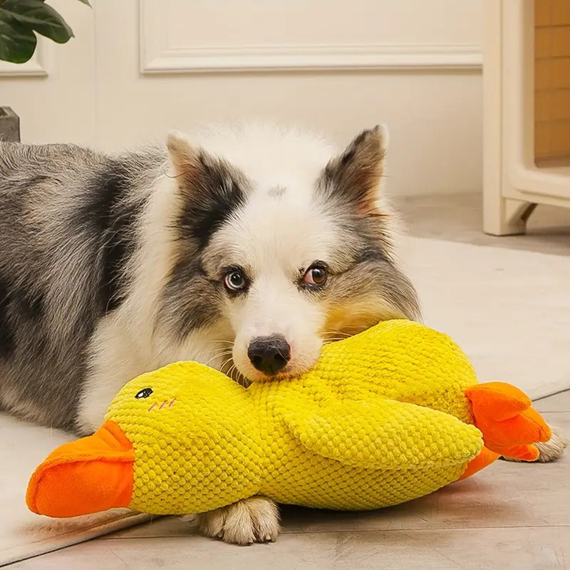 Juguete de perro de pato de goma duradero con chirriador
