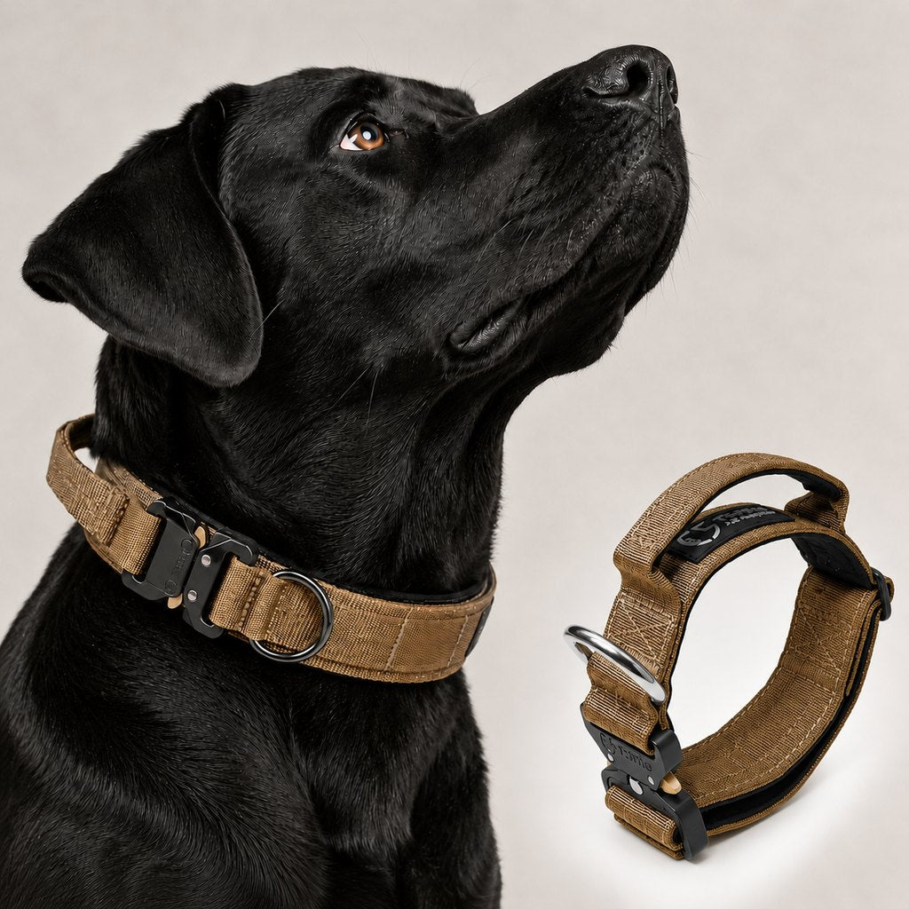 Ortekor Large Dog Tactical Collar with Control Handle - Secure Grip for Walks, Training & Strong Pullers