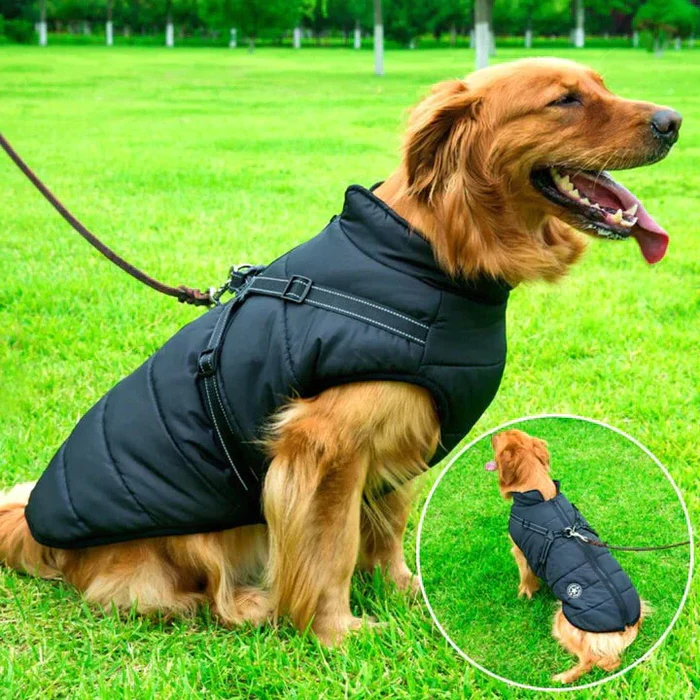 Cold-Weather Dog Coat with Sherpa Lining & Leash Harness – All-Breed Insulated Pet Jacket for Rain, Snow & Wind