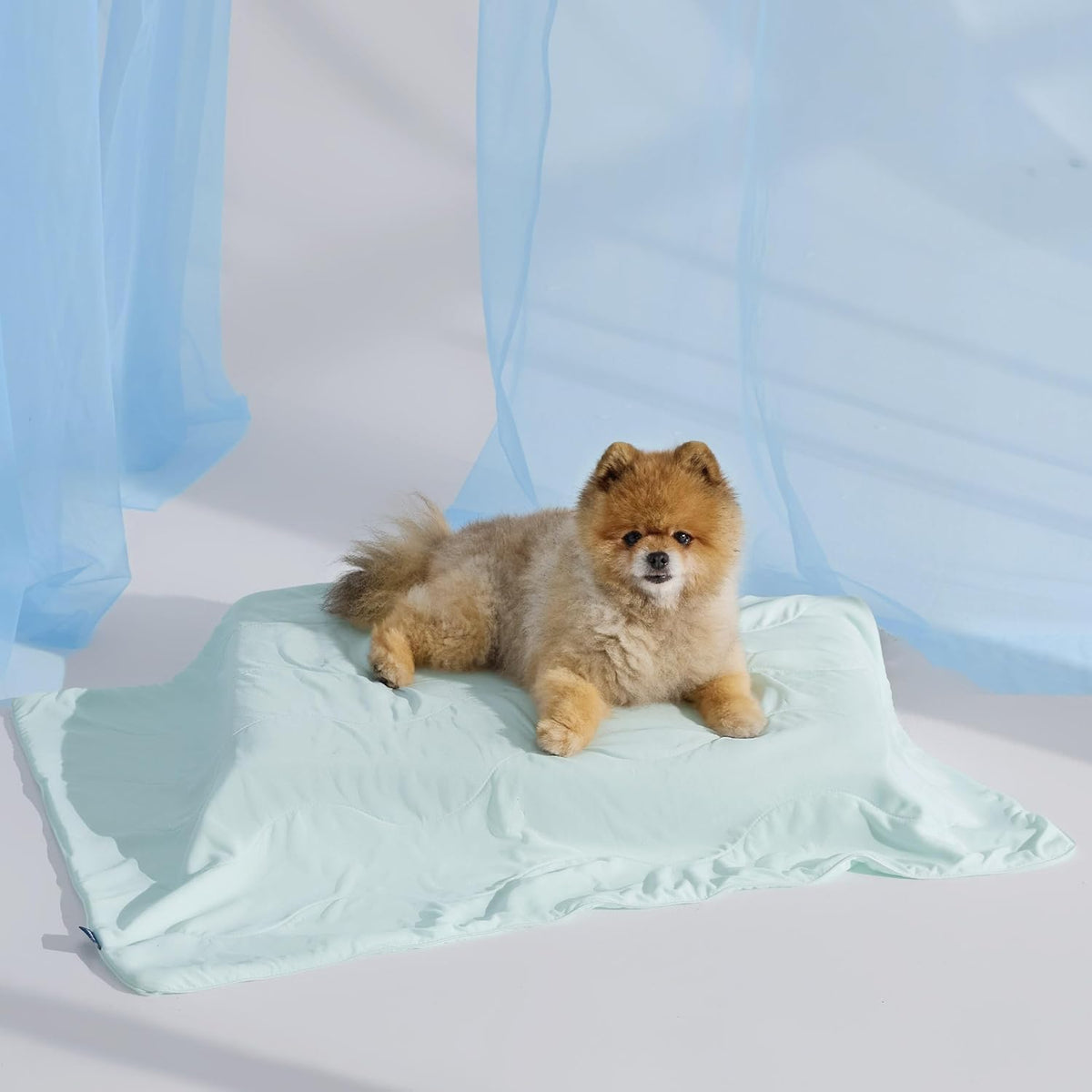 Cozy Paws | Manta refrescante para perros grandes con relleno de núcleo de aire transpirable | Alfombrilla ligera y lavable para perros para mayor comodidad en verano