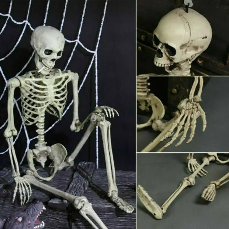 Articulated Halloween Skeleton Figure – Life-Size Posable Bone Decoration for Spooky Scenes & Haunted House Displays