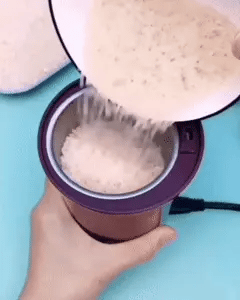 Copper Motor Stainless Steel Blades Coffee & Spice Grinder (100g Capacity)