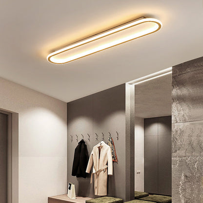 Lámpara LED de techo para pasillo, forma ovalada, perfil bajo, para dormitorio, sala de estar y cocina, 12-24 pulgadas, temperatura de color ajustable, para interiores
