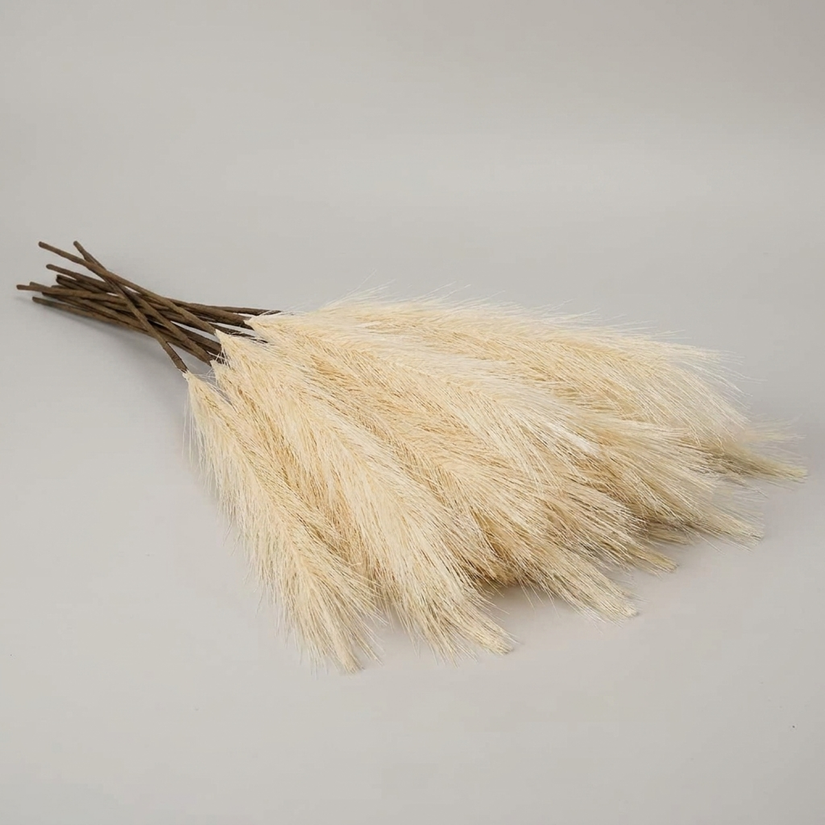 PLUMEVELLE – Pampas artificial para una textura floral elevada