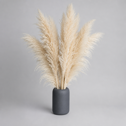 MEADOWHAVEN – Dried Pampas Grass for Timeless Decorative Character