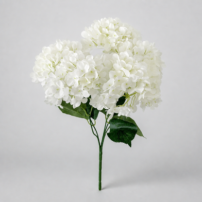 FLORAVIA – Decorative Flowers for Elegant Living Spaces