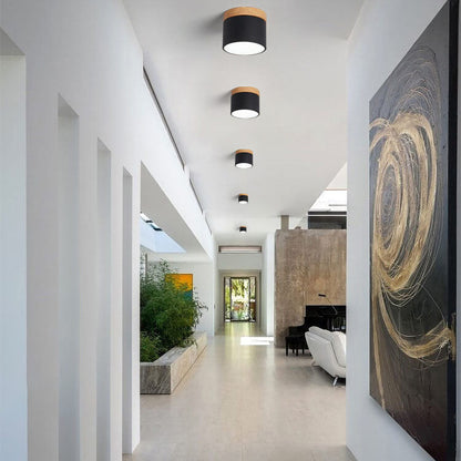 Compact Surface-Mount LED Light Fixture 4 in Round Multi-Color Adjustable Temperature for Entryways Bedrooms Overhead Lighting 7W 700 Lumens