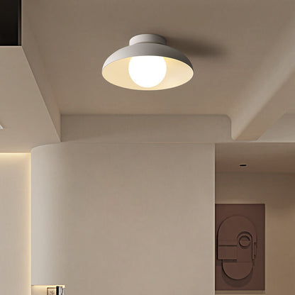 Single-Bulb Ceiling Light with Iron Frame and Glass Shade for Bedroom, Hallway, or Entryway