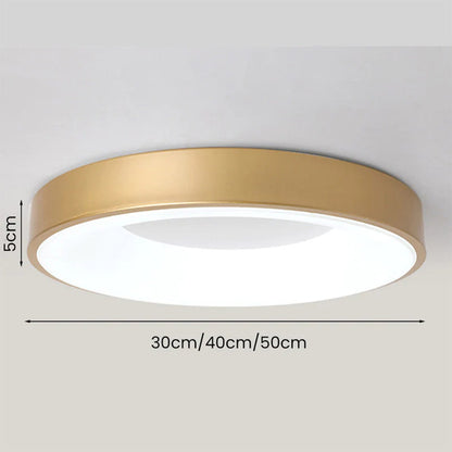 Round LED Overhead Fixture for Bedroom & Hallway – Ultra-Slim Iron & Acrylic Disc – Dimmable Options for Living Room & Entryway