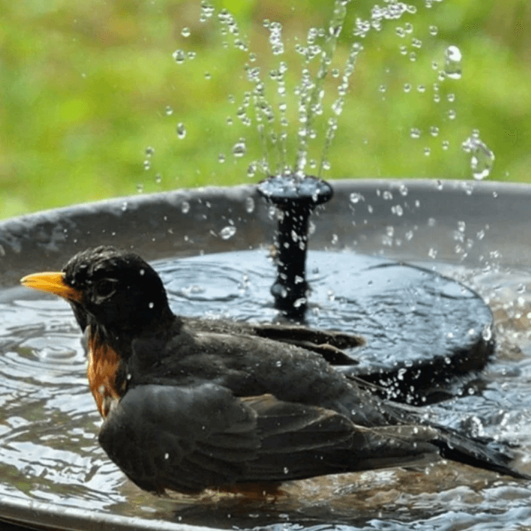 Tranquil Oasis | Solar-Powered Water Fountain with Adjustable Spray | Eco-Friendly Outdoor Decor