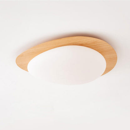 Low-Profile LED Ceiling Fixture with Remote Dimming & Three Color Modes for Bedrooms Hallways Kitchens | Modern Iron Acrylic Overhead Lighti