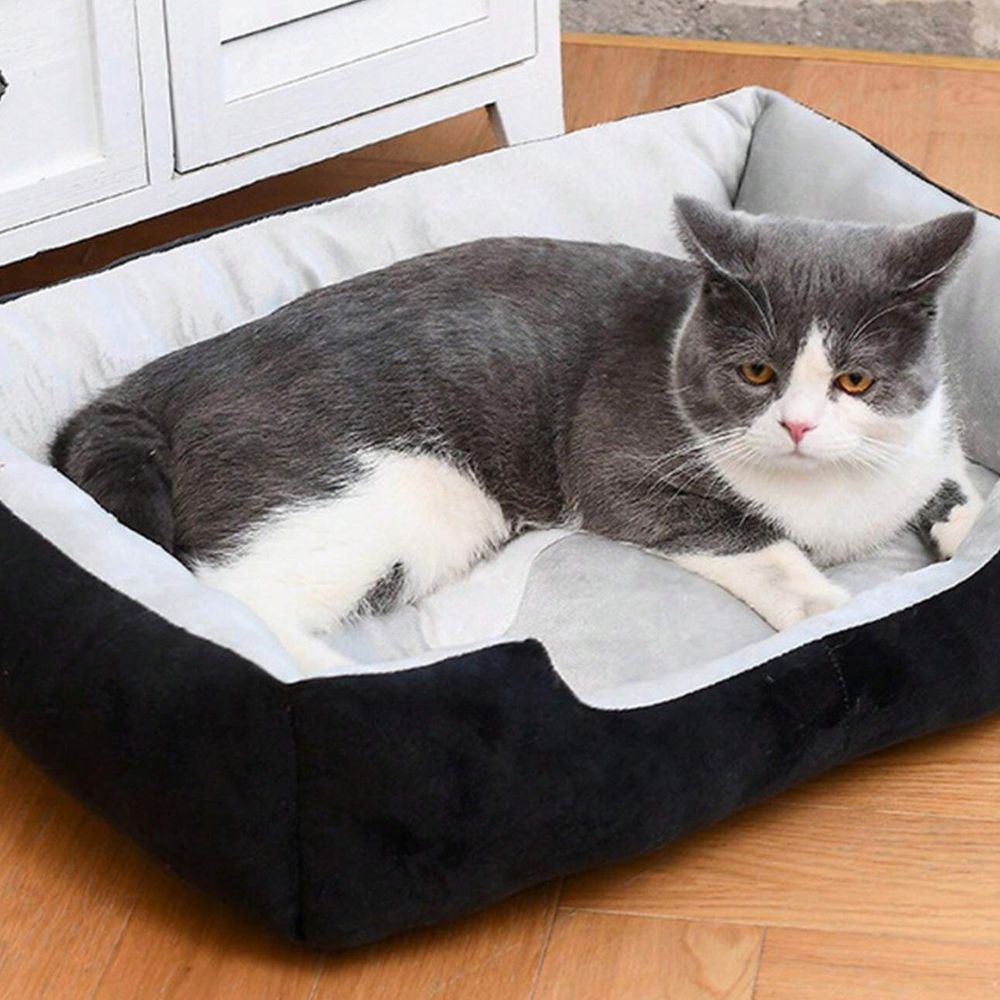 Cama para perros Fiora - Microfibra suave, comodidad y soporte para mascotas
