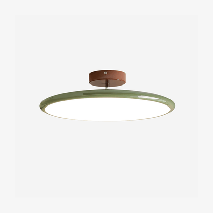 Swivel LED Flush Mount Ceiling Light 12 Inch Round Indoor Lamp Adjustable Directional Lighting for Bedroom Living Room Kitchen Dining Room T