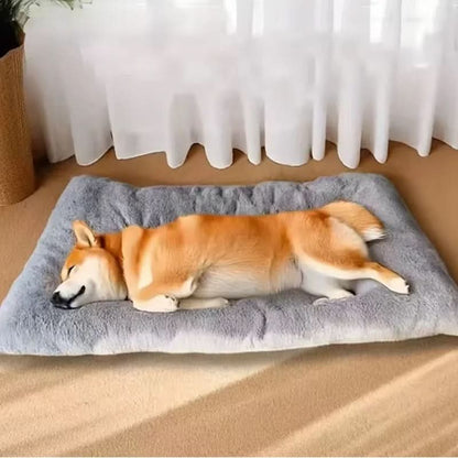 CLOUDPAWS – Plush Extra Large Pet Bed Mat