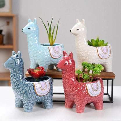 Alpaca Pottery Succulent Planter