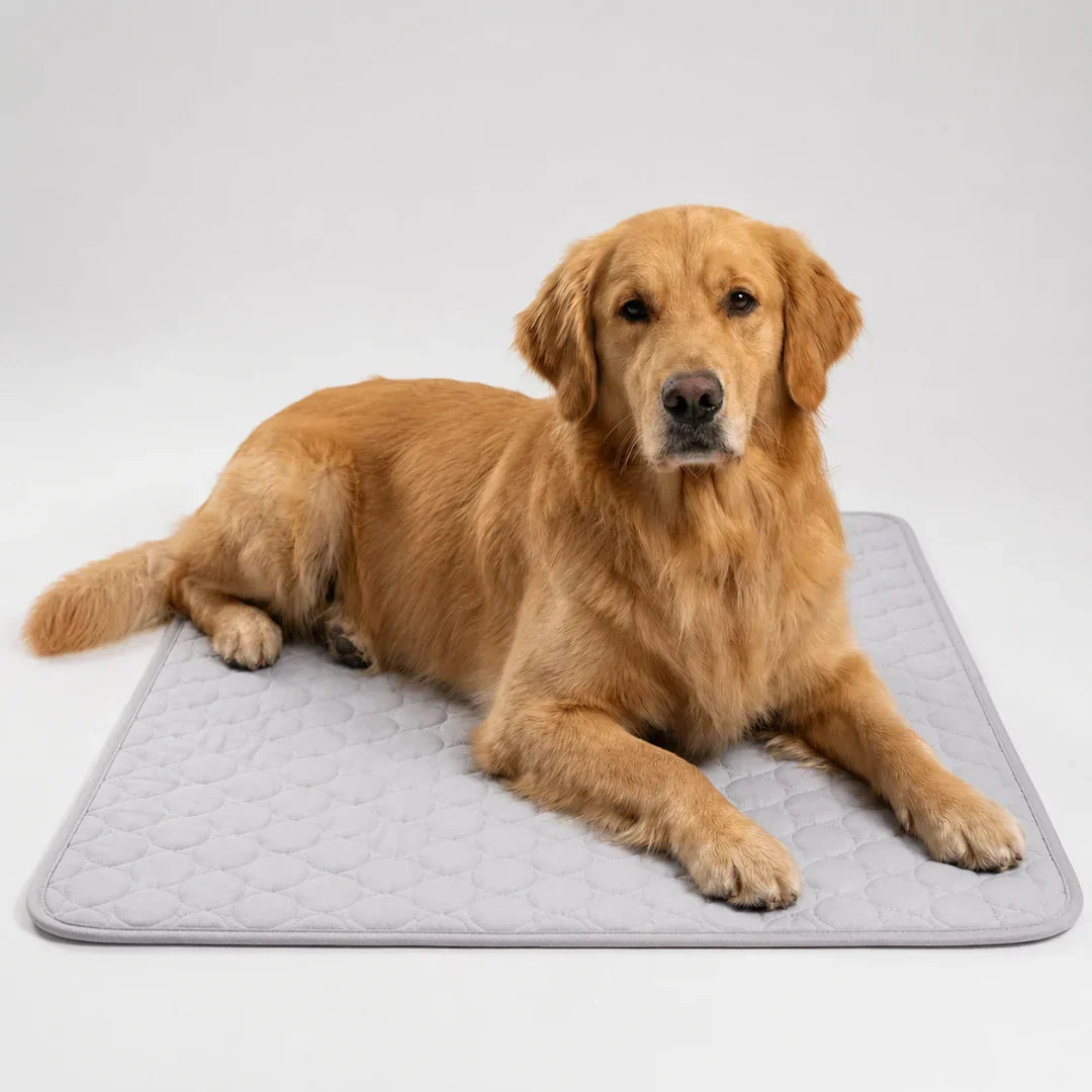 Machine-Washable Cool-Touch Pet Bed Pad for Dogs & Cats – Travel-Ready Foldable Chill Blanket for Summer Heat Relief, 6 Size Options for