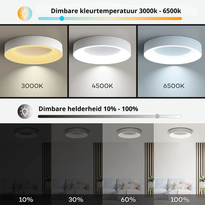 Round LED Overhead Fixture for Bedroom & Hallway – Ultra-Slim Iron & Acrylic Disc – Dimmable Options for Living Room & Entryway
