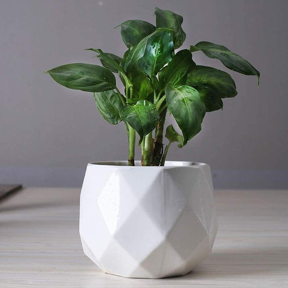 Diamond Ceramic Succulent Pots