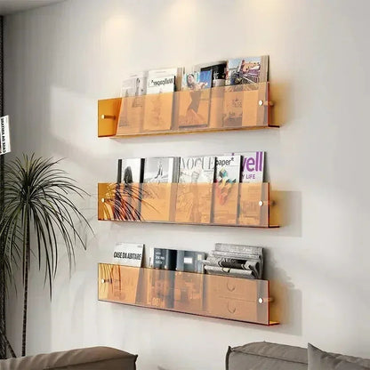 Vinyl Record Holder Wall Rack Magazine Organizer Shelf for Living Room Books Newspapers Home Office Storage Clear Acrylic Display Mount