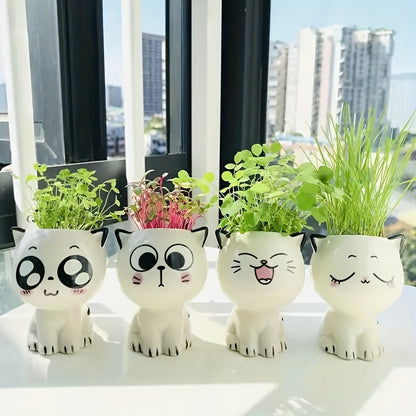 Kitty Planters