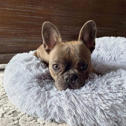 Round Plush Pet Bed with Raised Rim for Dogs & Cats | Anti-Anxiety Donut Cushion for Small Medium Large Pets | Machine Washable
