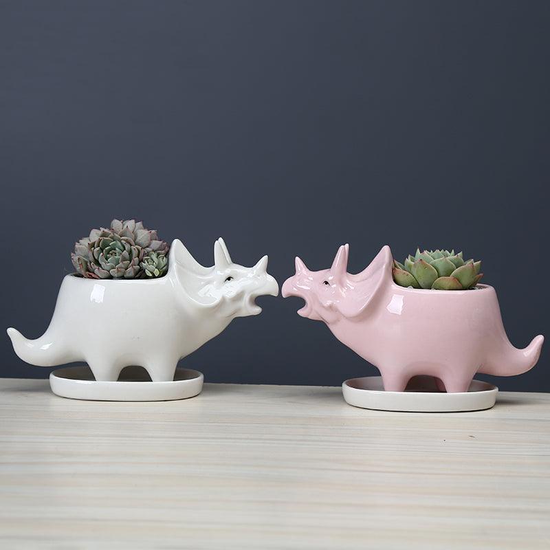 Adorable Dino Succulent Planter Pot with Drainage Tray