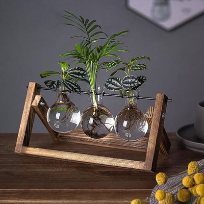 Wooden Hydroponic Vase Holder with Glass Tubes for Propagating Cuttings Tabletop Decor Station for Herbs Flowers Succulents Root Development