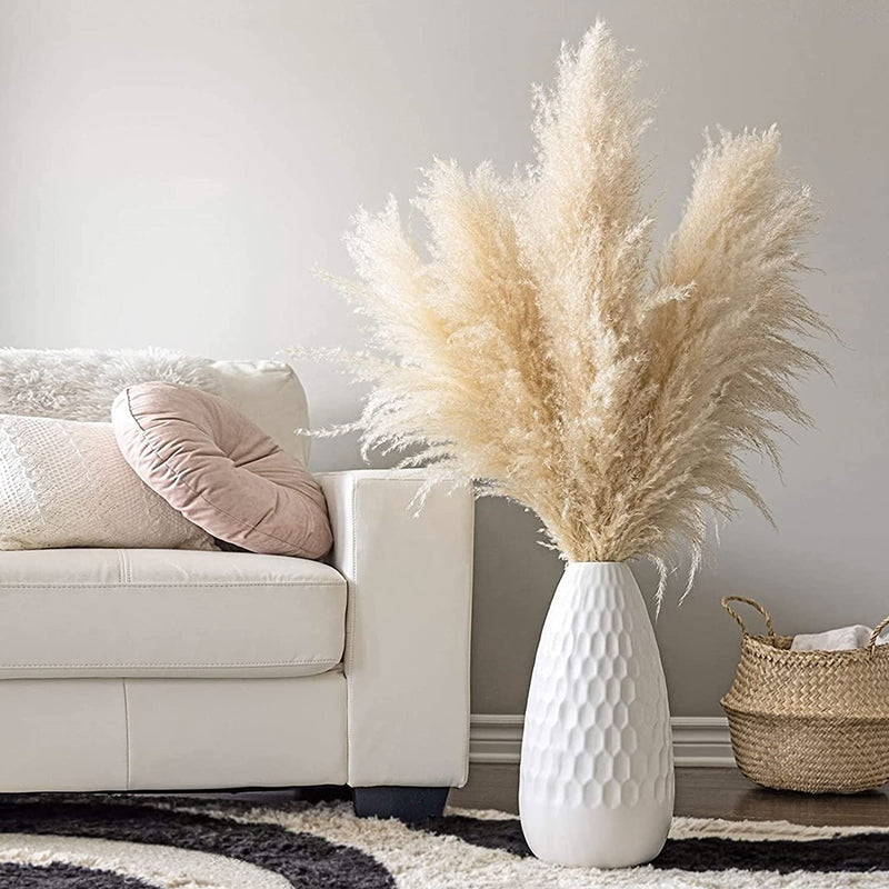 Tallos de hierba de las pampas natural y esponjosa para jarrones | Acentos florales secos de 16-30 pulgadas para decoración de estantes de sala de estar, centros de mesa para eventos, estilo boho