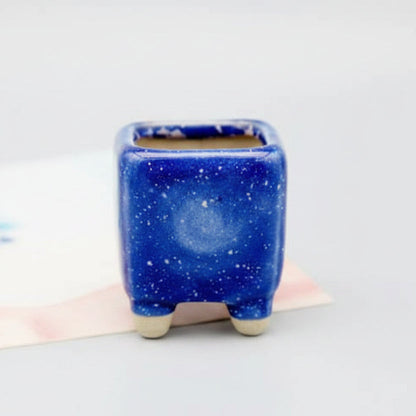 MINICACTA – Juego de mini macetas de cerámica para suculentas