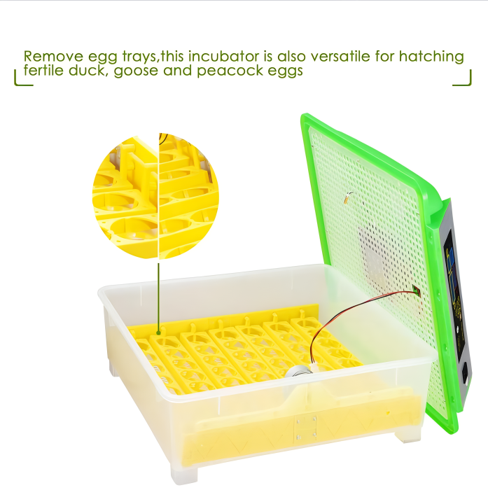 Automatic 56-Egg Incubator with Digital Display & Auto-Turn for Chickens, Ducks, Quail & Geese