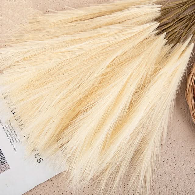PLUMEVELLE – Pampas artificial para una textura floral elevada
