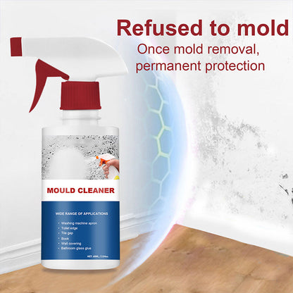 Foaming Mold & Mildew Remover Spray for Bathroom Tile Grout Shower Kitchen No Scrub Stain Eliminator