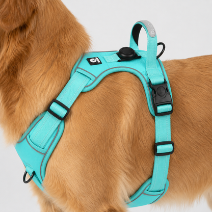 Adjustable Anti-Pull Dog Vest with Front Clip and Reflective Trim for Small to Large Breeds