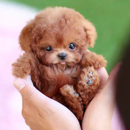Touch-Activated Robotic Stuffed Animal Puppy Toy Responds to Petting Moves Head and Tail Battery Powered Companion for Kids Elderly Dementia
