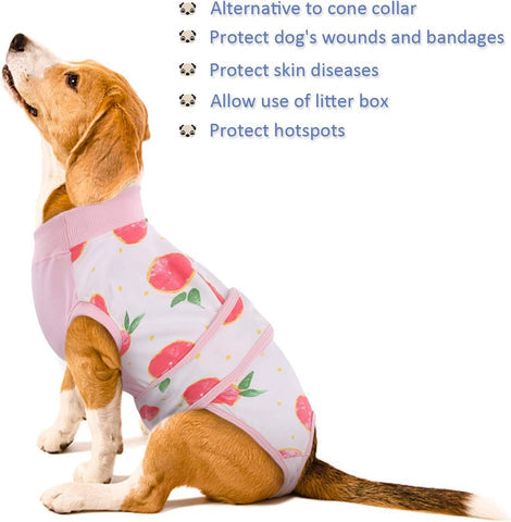 Recuperación rápida | Traje de recuperación para perros con tela suave y ajuste personalizado | Cuidado posquirúrgico ideal para mayor comodidad
