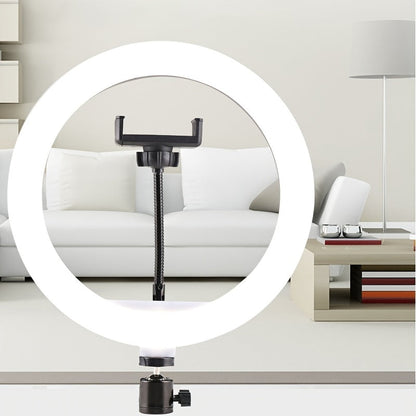 10-Inch Dimmable Ring Light with 22-Inch Tripod Stand and Phone Mount for Selfies, Video Recording, Streaming, Content Creation, Beauty