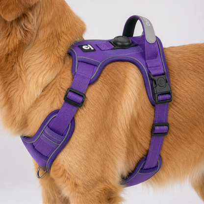 Adjustable Anti-Pull Dog Vest with Front Clip and Reflective Trim for Small to Large Breeds