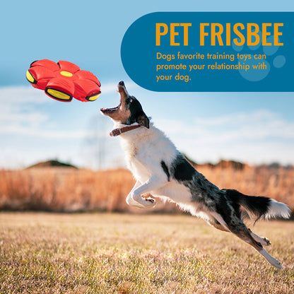 Self-Rolling LED Dog Ball Toy – Motion-Activated Light-Up Frisbee Disc for Interactive Fetch & Indoor Outdoor Play