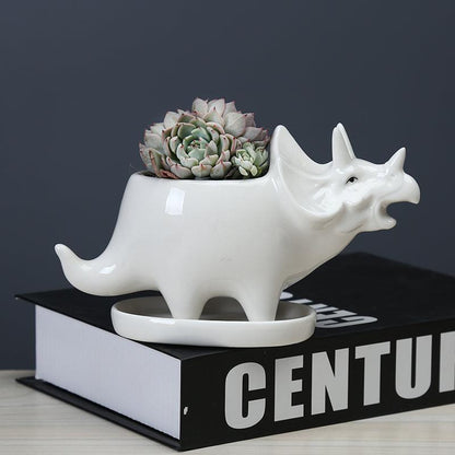 Adorable Dino Succulent Planter Pot with Drainage Tray