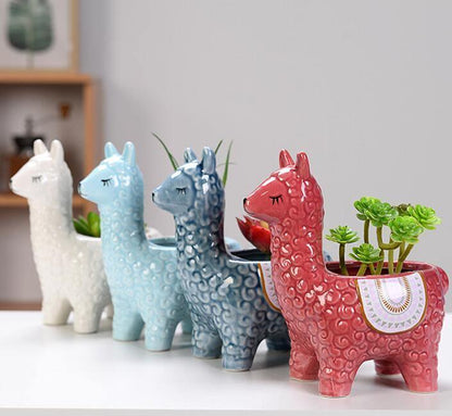 Alpaca Pottery Succulent Planter