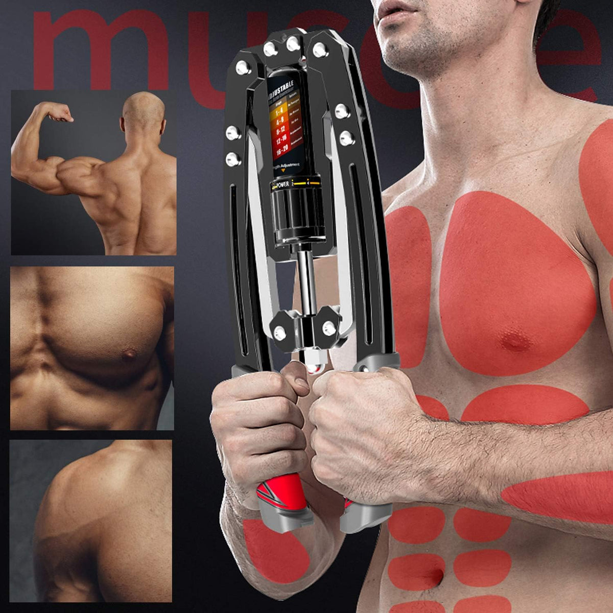 Adjustable Hydraulic Arm Trainer | 10-200 kg Resistance for Effective Upper Body Strength