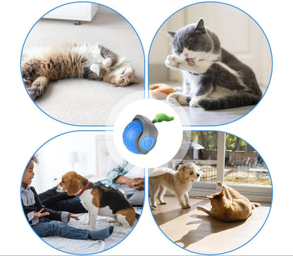 Self-Rolling Cat Ball with Feather Tail for Indoor Play – USB Rechargeable Obstacle-Sensing Pet Entertainment Toy